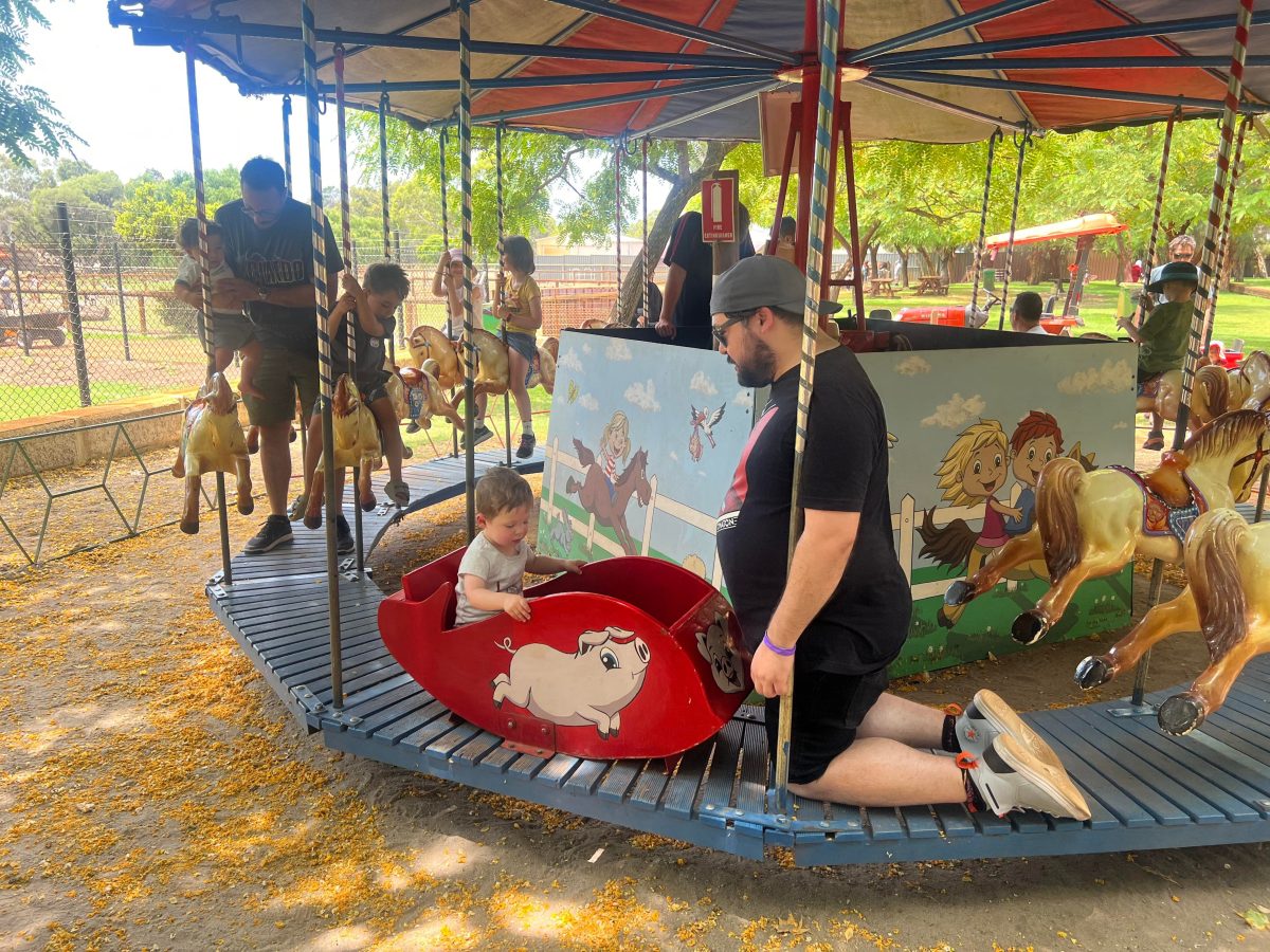 Merry Go Round at Swan Valley Cuddly Animal Farm