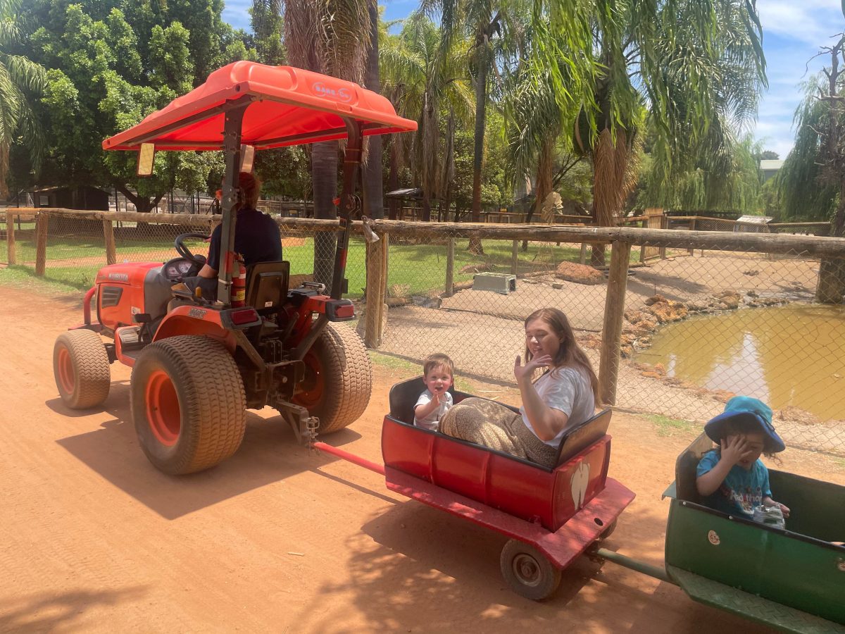 Swan Valley Cuddly Animal Farm train ride