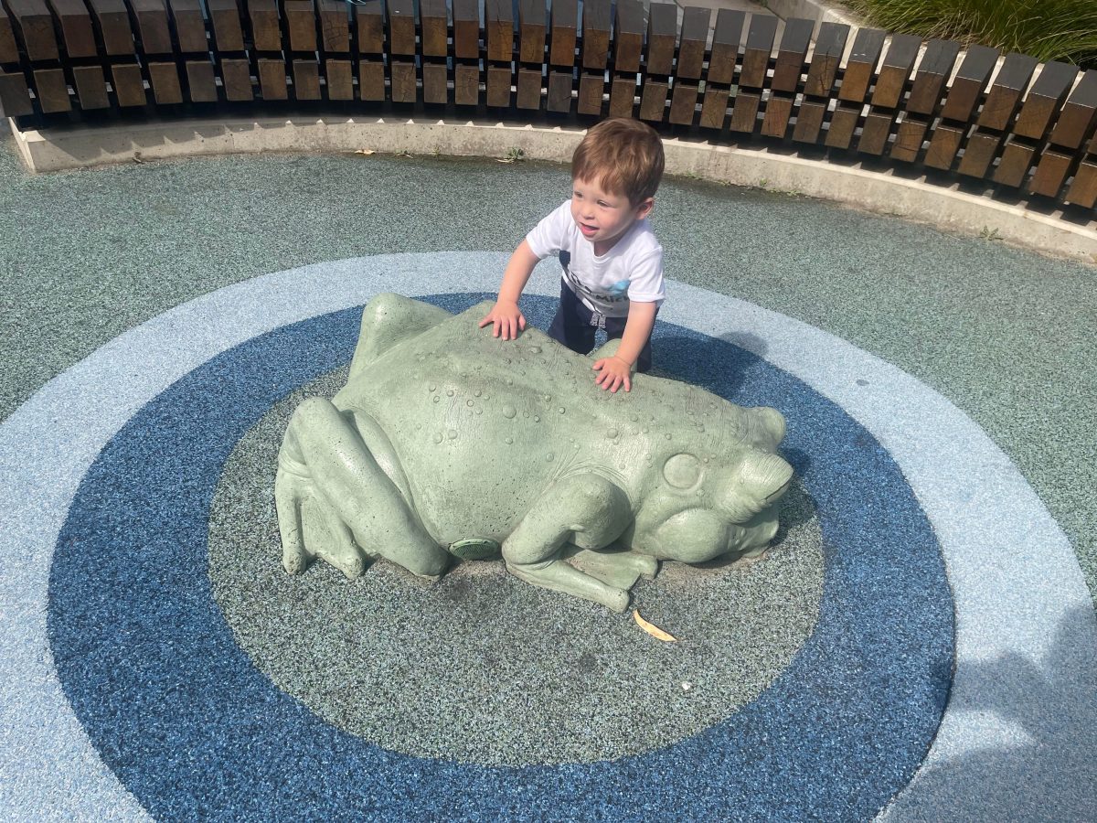 big frog charlie