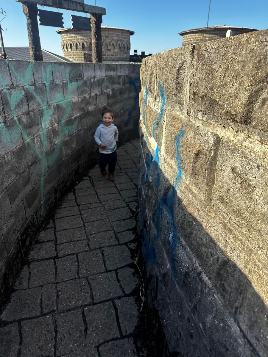 charlie in kryal castle maze