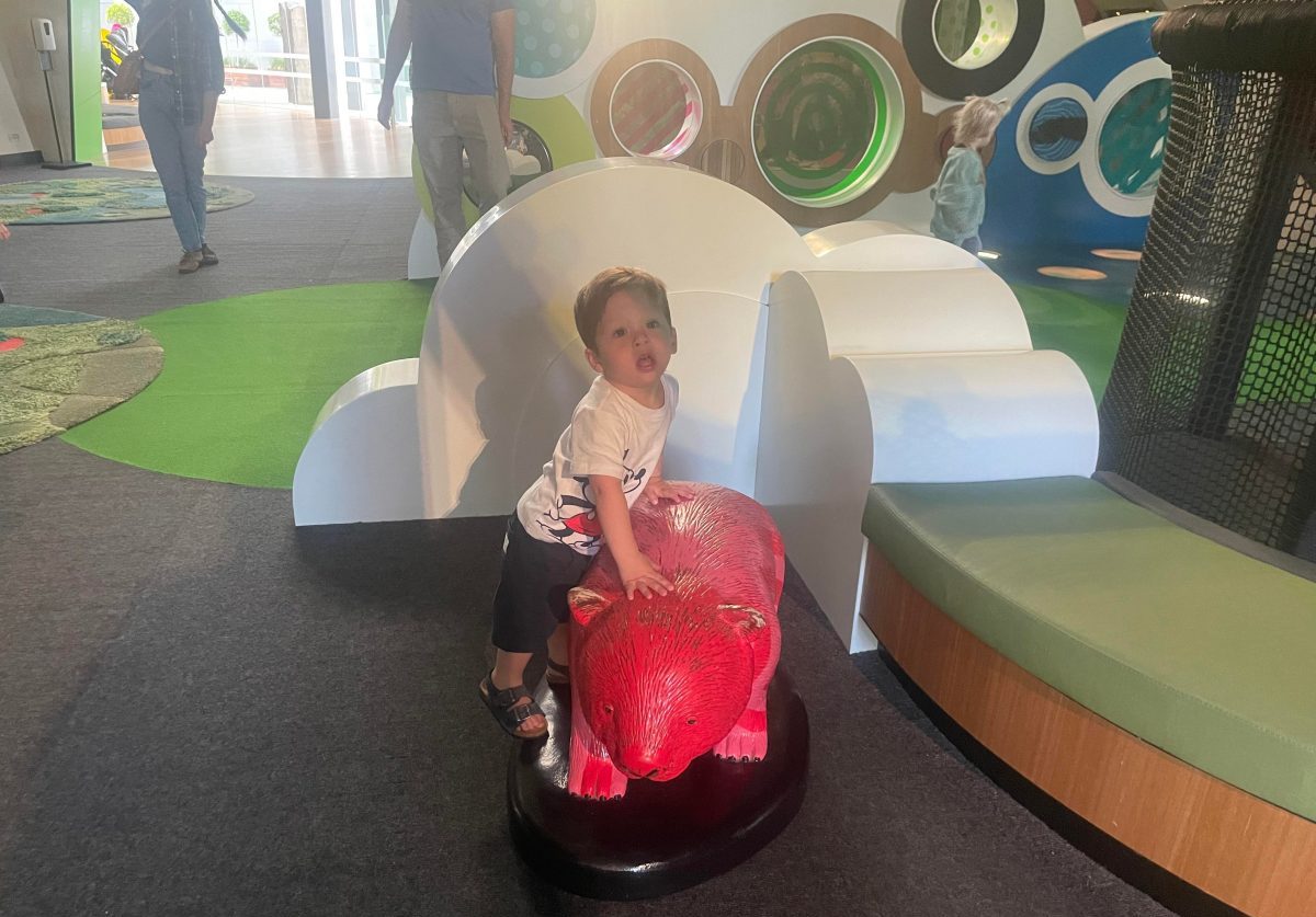 charlie on pink wombat