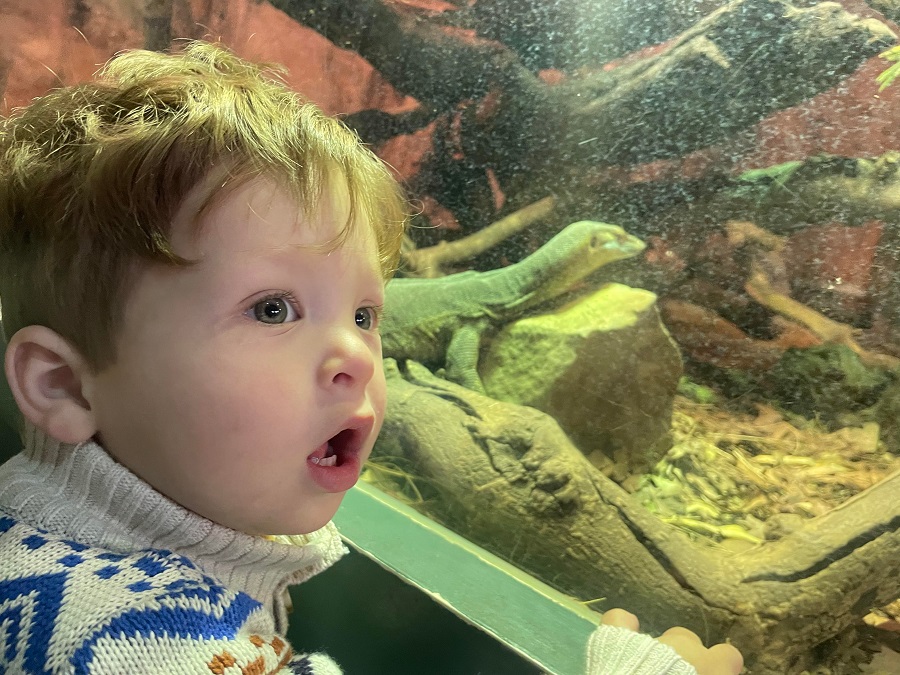 charlie with big lizard