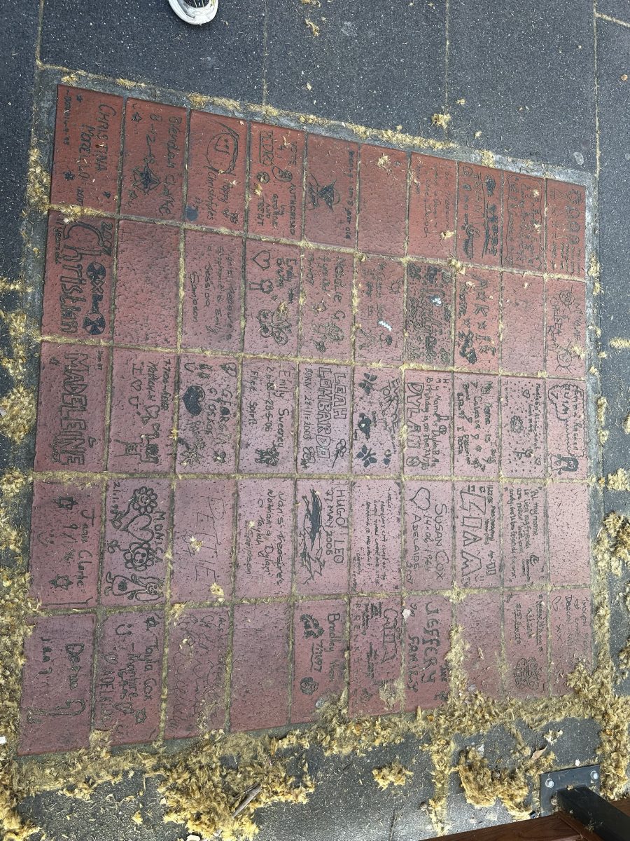 A paved section of personalised bricks, each hand-etched with a name, birth date or short message