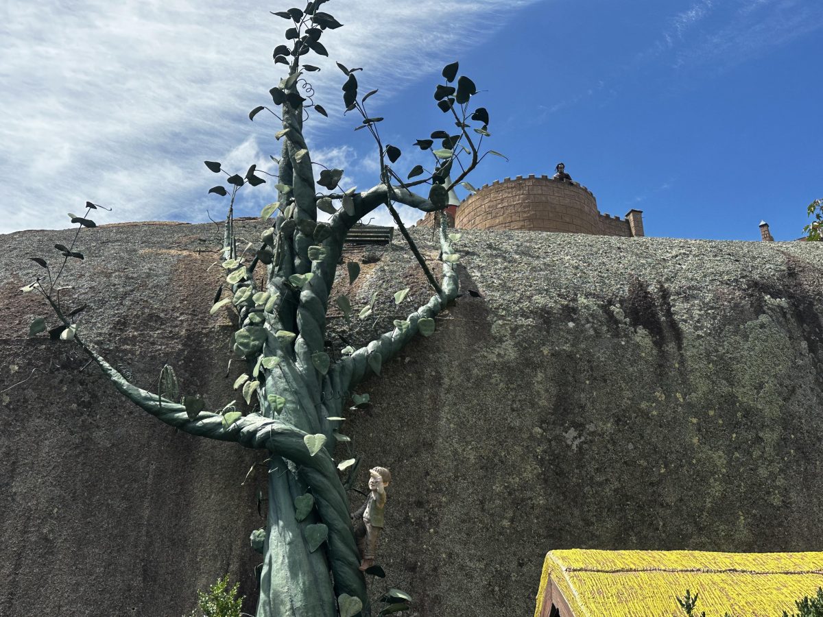 jack and the bean stalk fairy park anakie