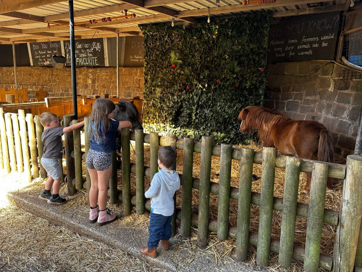 live animals at kryal castle