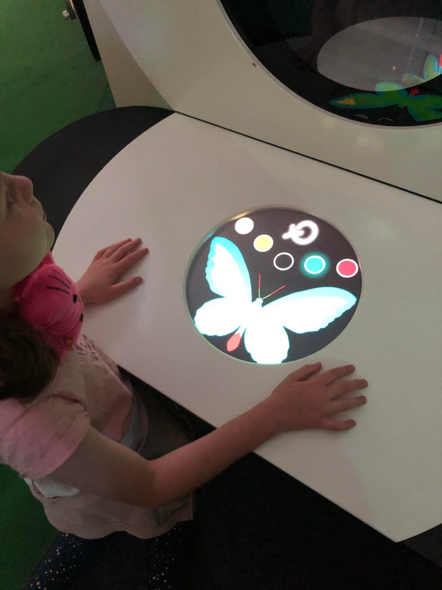 painting the butterfly