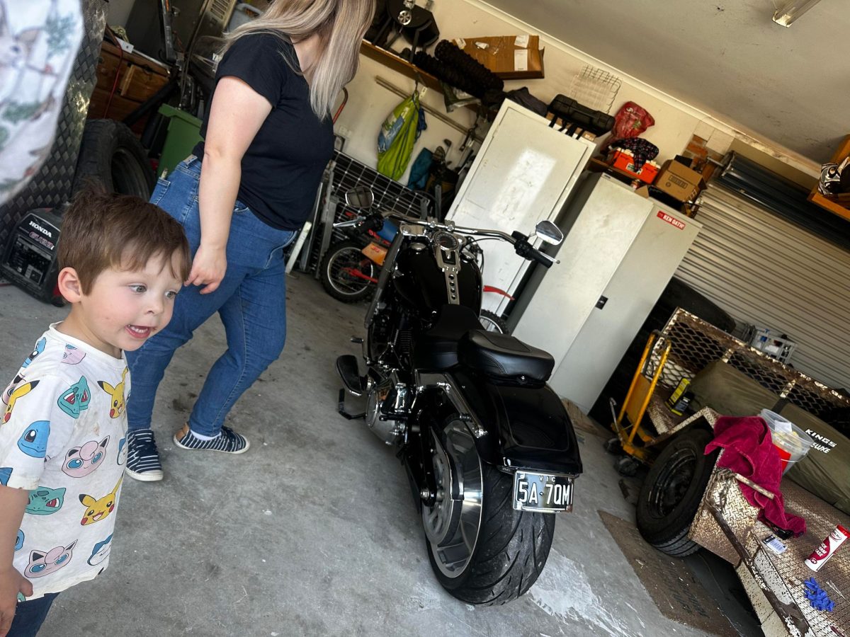 poppys harley davidson in garage
