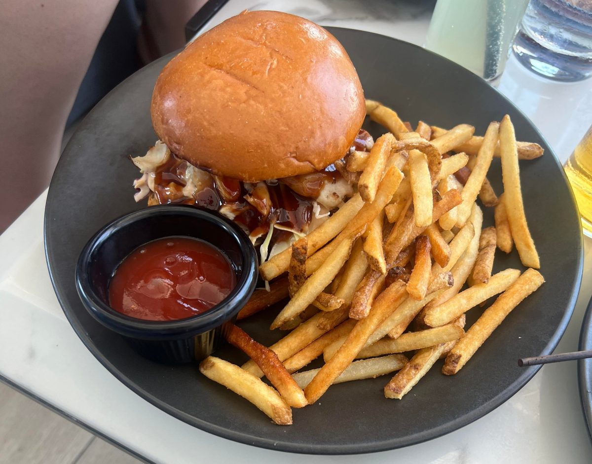 pulled chicken burger at 18 knots