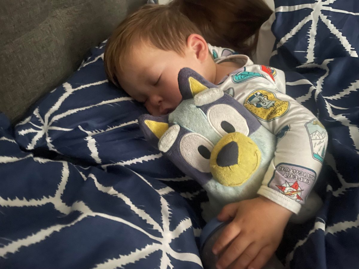 sleeping child with bluey doll