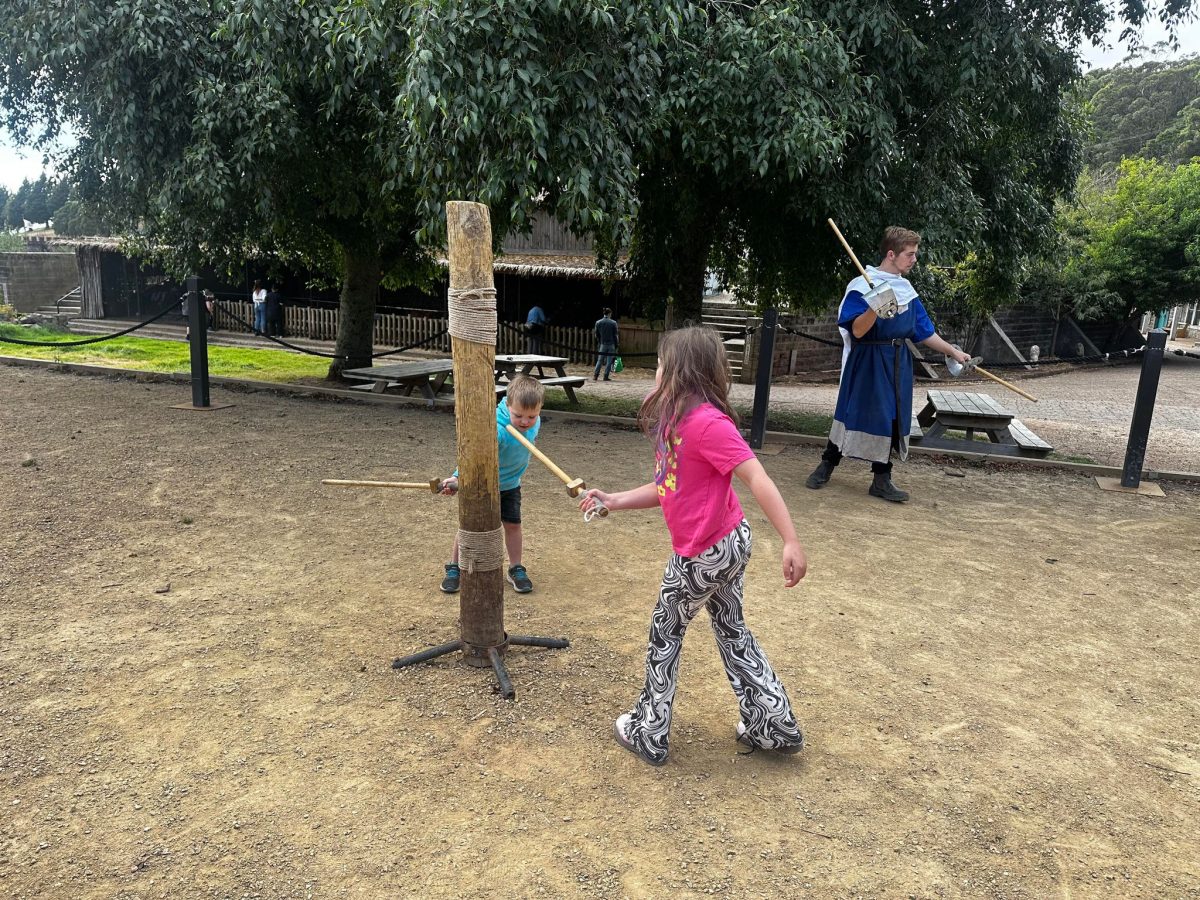 sword fighting demonstration