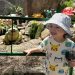 thumbelina-statue-anakie-fairy-park-banner