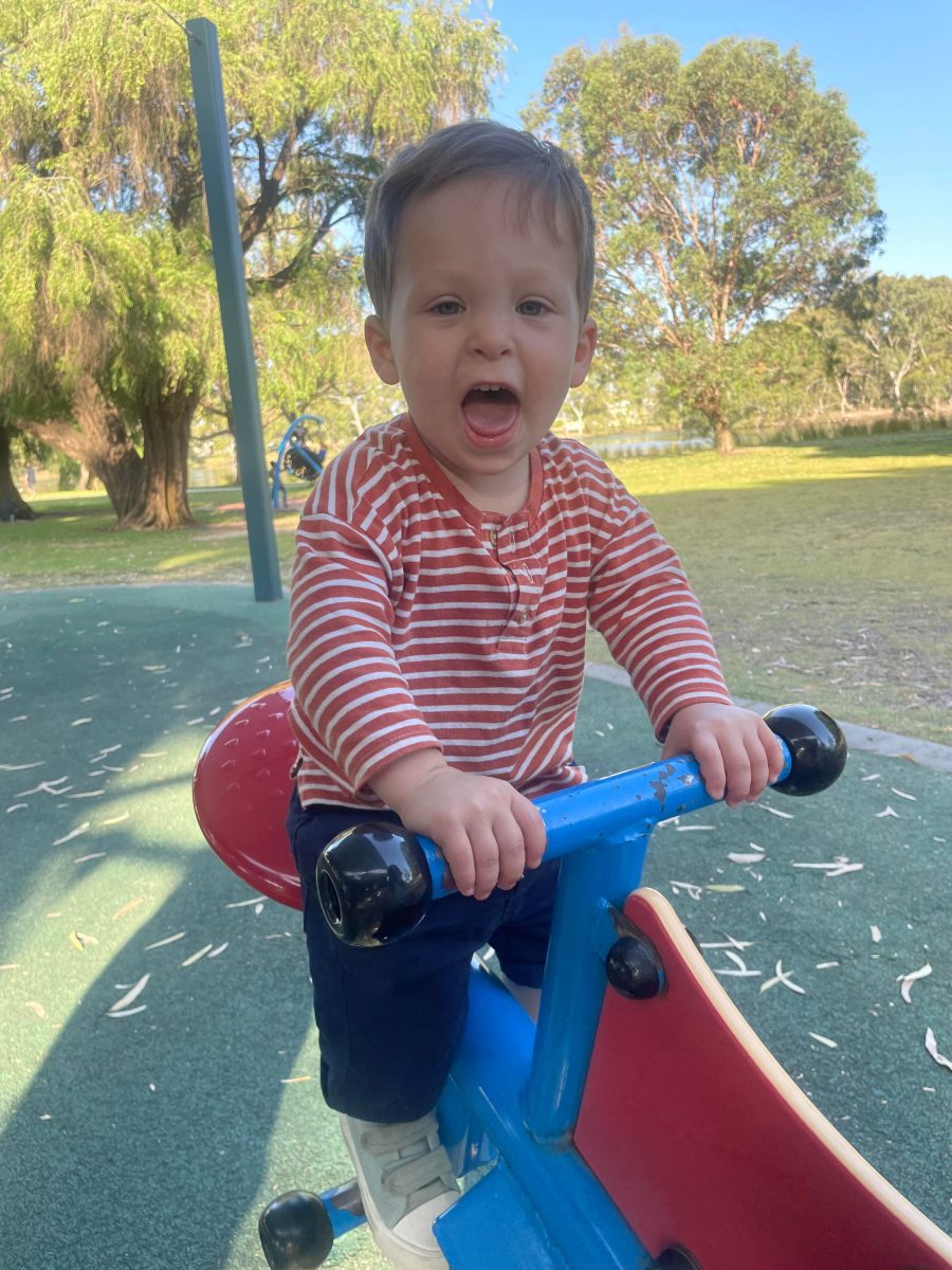 young boy on seesaw at tomato lake park